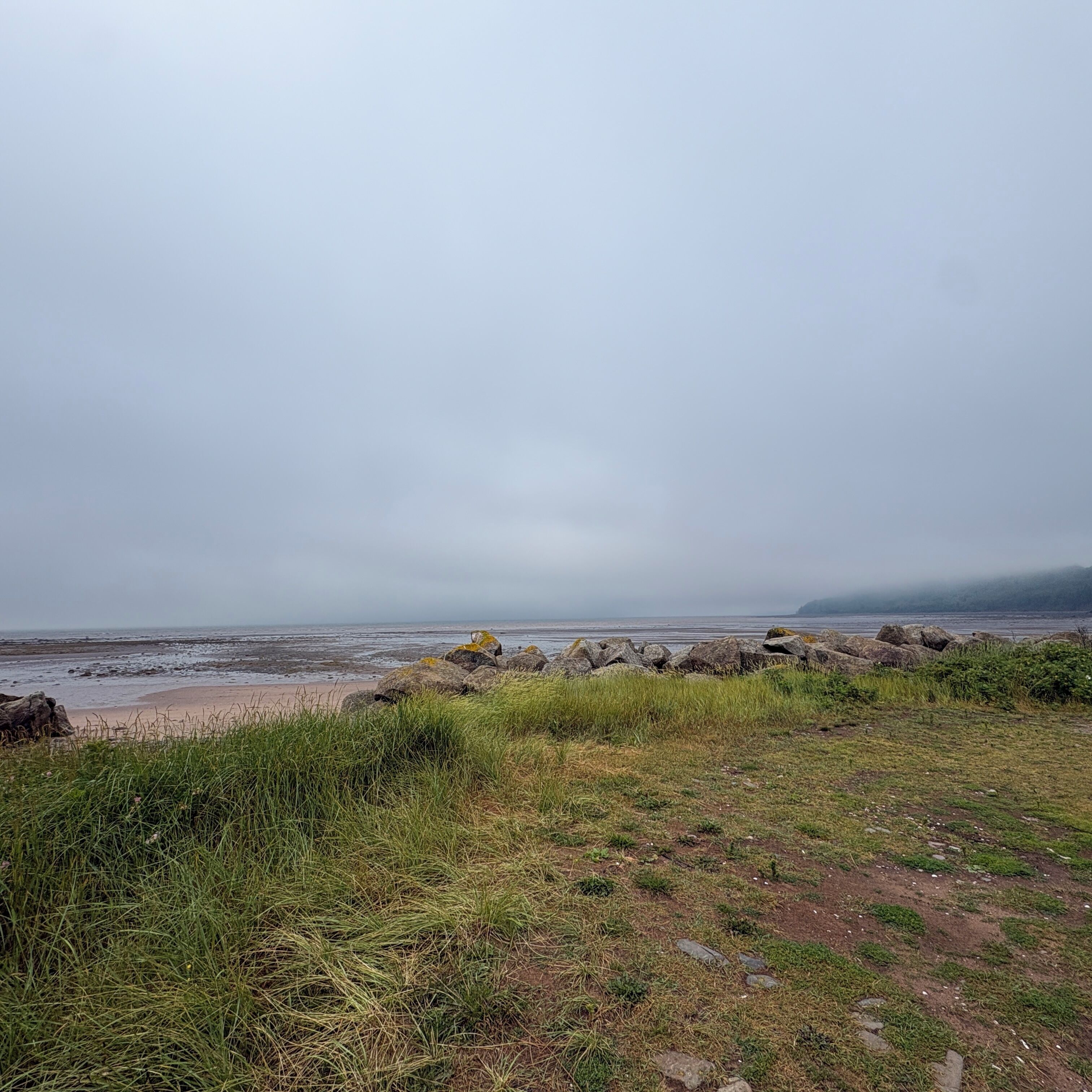 Un paysage côtier avec une rive rocheuse, un premier plan herbeux et une vue sur la mer sous un ciel nuageux.