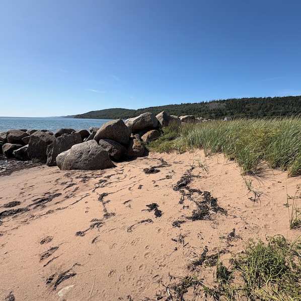 Une plage de sable avec de gros rochers et des zones herbeuses.