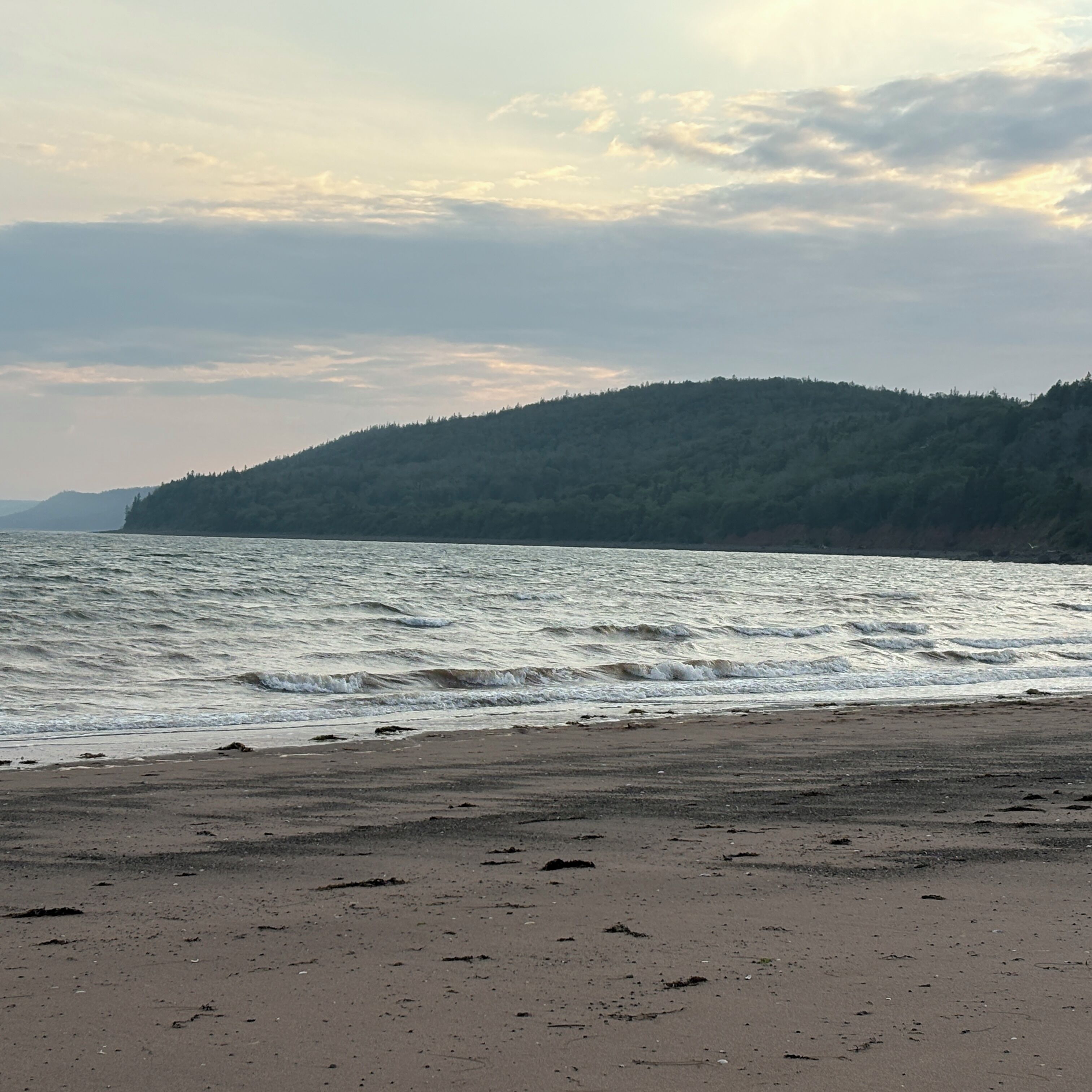 Uma praia com ondas, uma colina arborizada e céu claro.