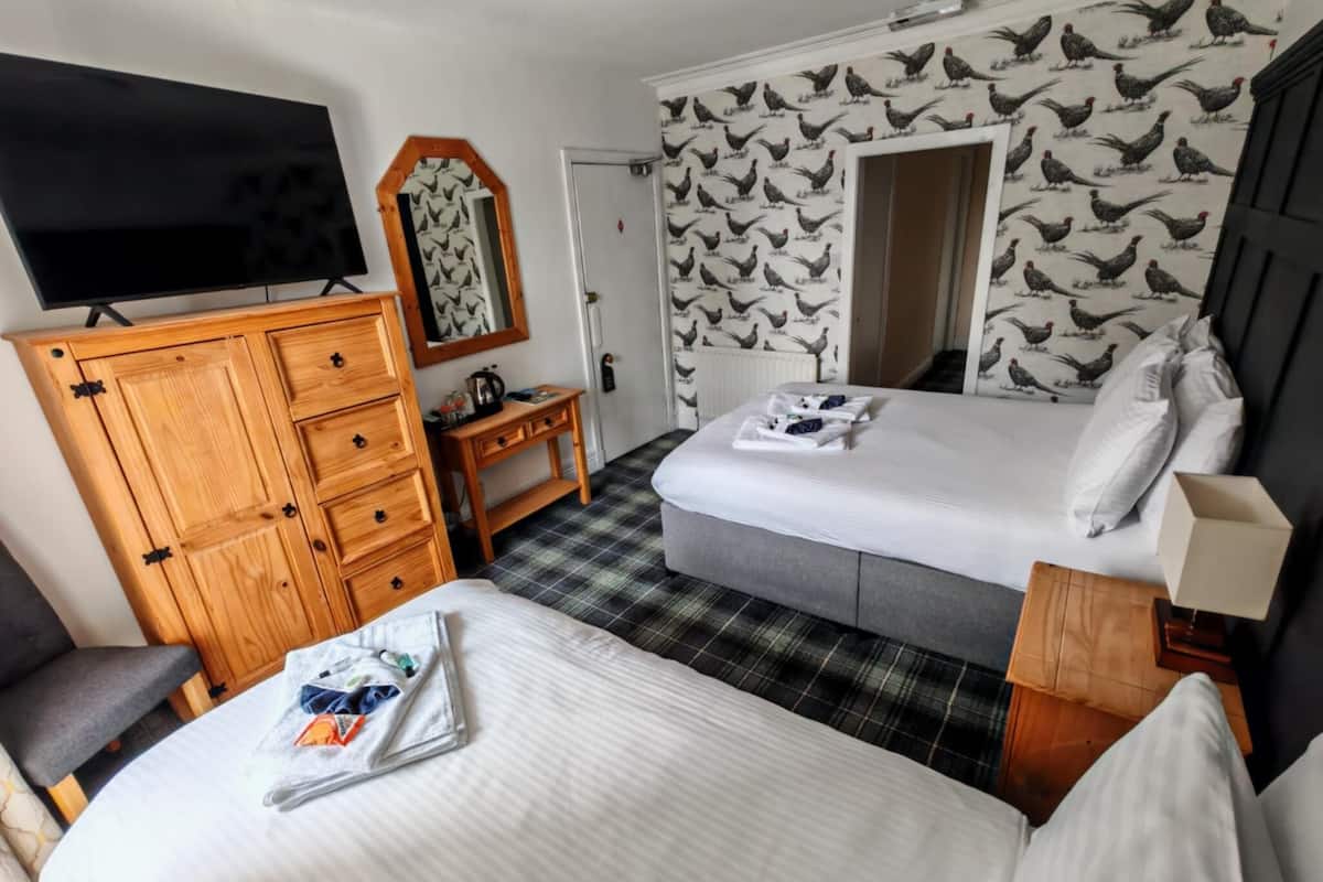 Family Triple Room, City View | Free WiFi