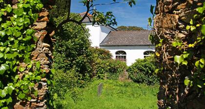 Captivating Journey Through Wexford Town's Rich Past