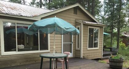 Cozy Cabin in McCall