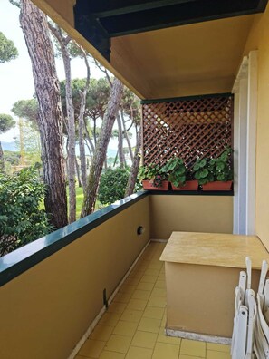 Terras