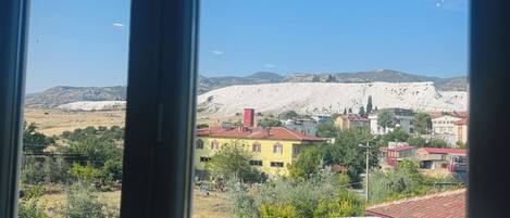 A view through a window of a residential area with houses, a clear sky, and a distant mountain range.
