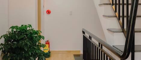 A hallway with a wooden floor, a potted plant, a fire extinguisher, and a staircase with black railings.