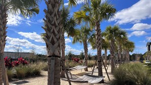 Un espacio arenoso al aire libre con palmeras y hamacas.
