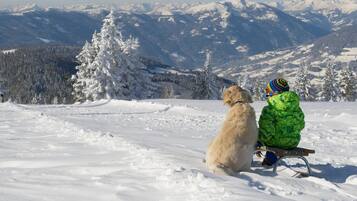 Apartment | Blick von der Unterkunft
