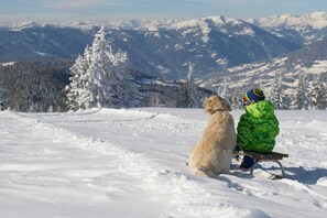 Appartement | Vue depuis l’hébergement