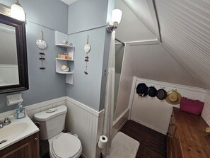 Hair dryer, towels, soap, toilet paper