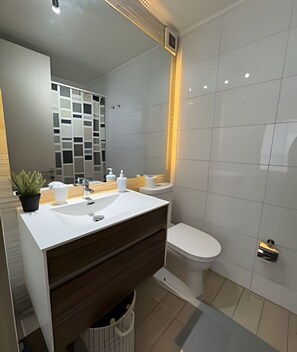 Basic Apartment | Bathroom | Hair dryer, towels, shampoo, toilet paper