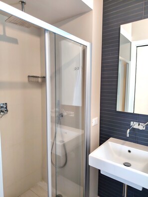 Shower, hair dryer, bidet, towels