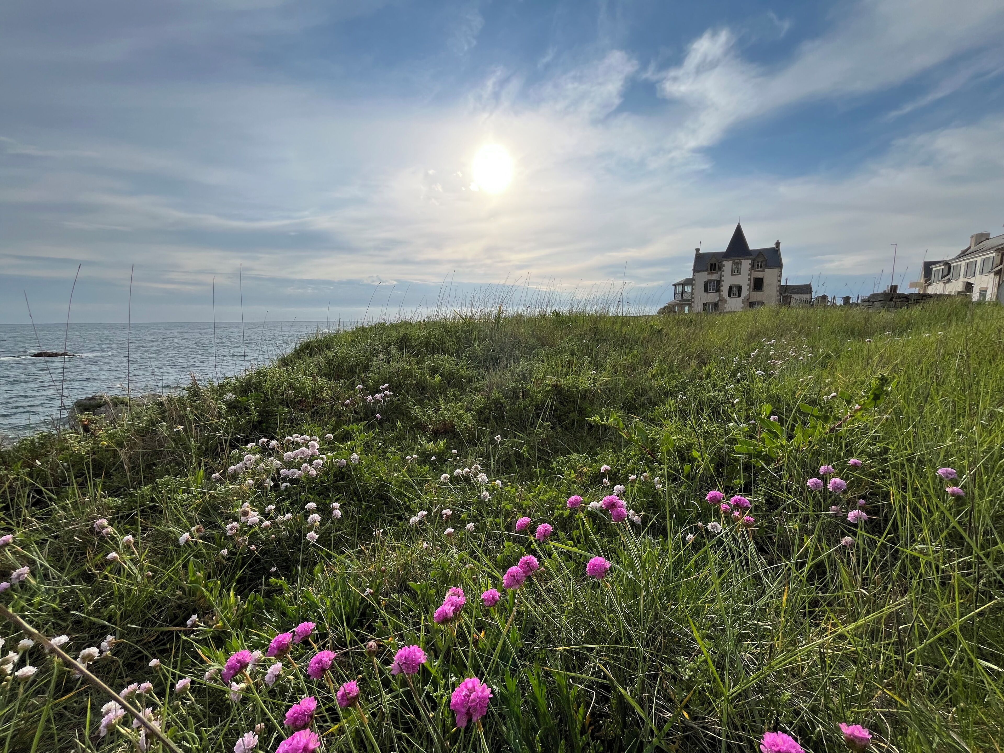 Un paisaje costero con una zona cubierta de césped, flores y un edificio al fondo.