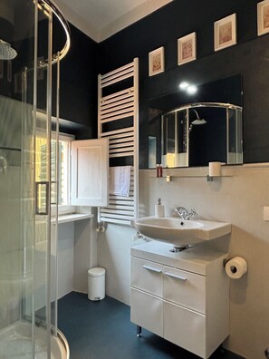 Shower, hair dryer, bidet, towels