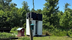 Un espacio exterior pequeño y rústico con una construcción de madera, un cobertizo rojo y un jardín con diversas plantas y un comedero para pájaros.