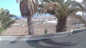 A concrete barrier with palm trees and a distant view of buildings.