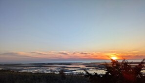 Tæt på stranden