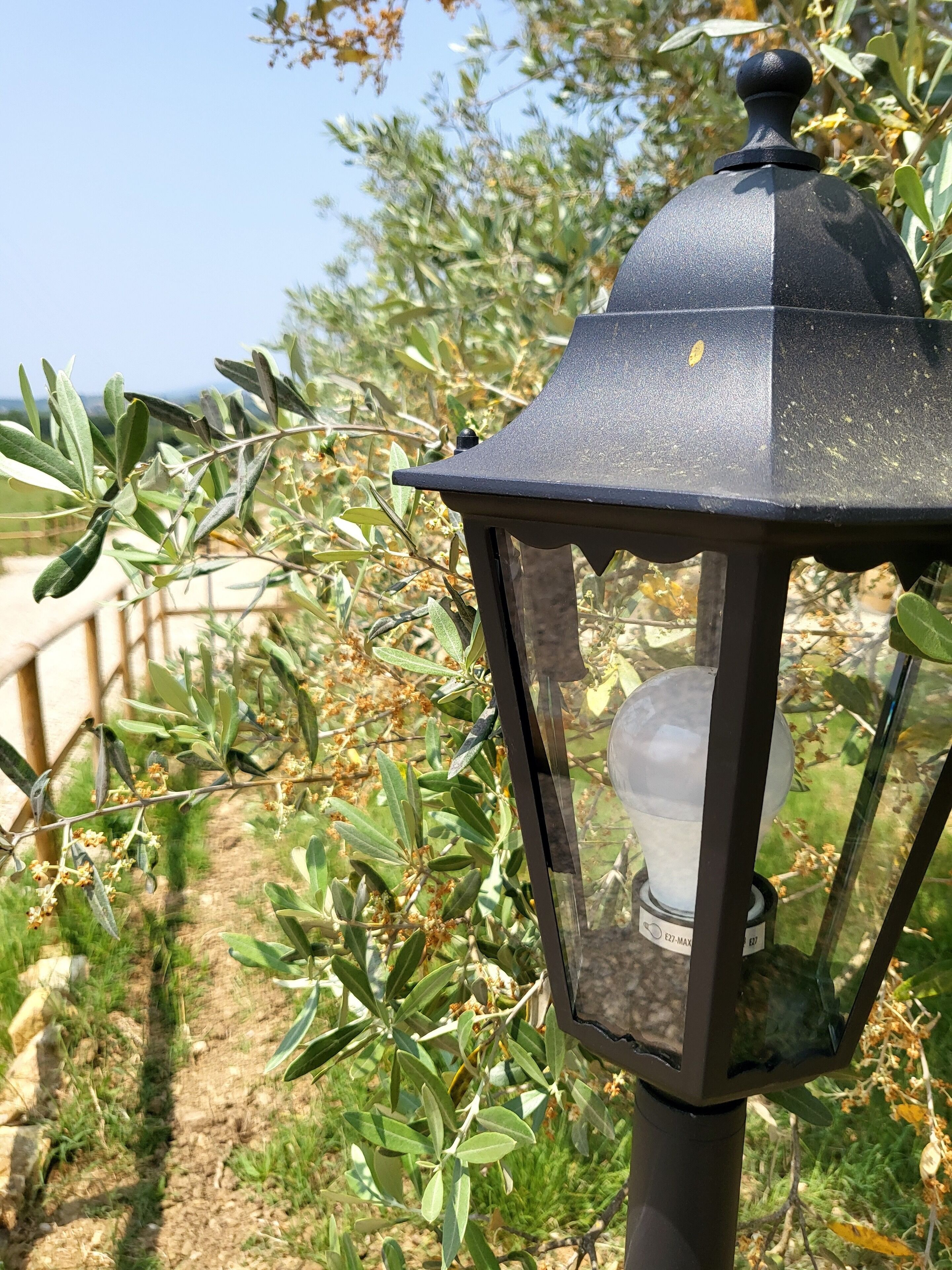 Un farol negro para exteriores con cubierta de vidrio, frente a un fondo de olivos y cielo despejado.