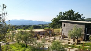 A rustic outdoor area with a wooden structure, possibly a shed or storage, surrounded by greenery and a clear view of distant mountains.