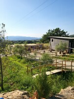 A rustic outdoor area with a wooden structure, possibly a shed or storage, surrounded by greenery and a clear view of distant mountains.