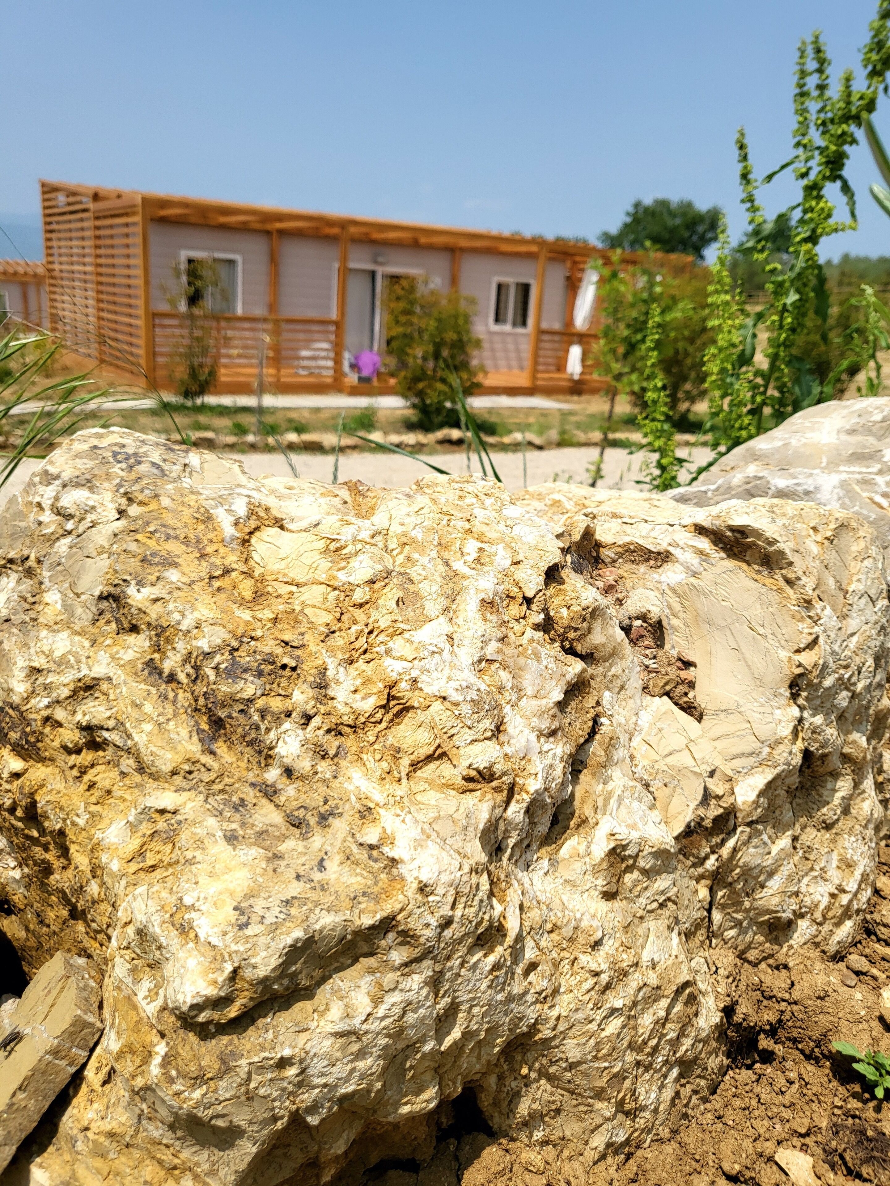 A modern building with a wooden facade and a large rock in the foreground.