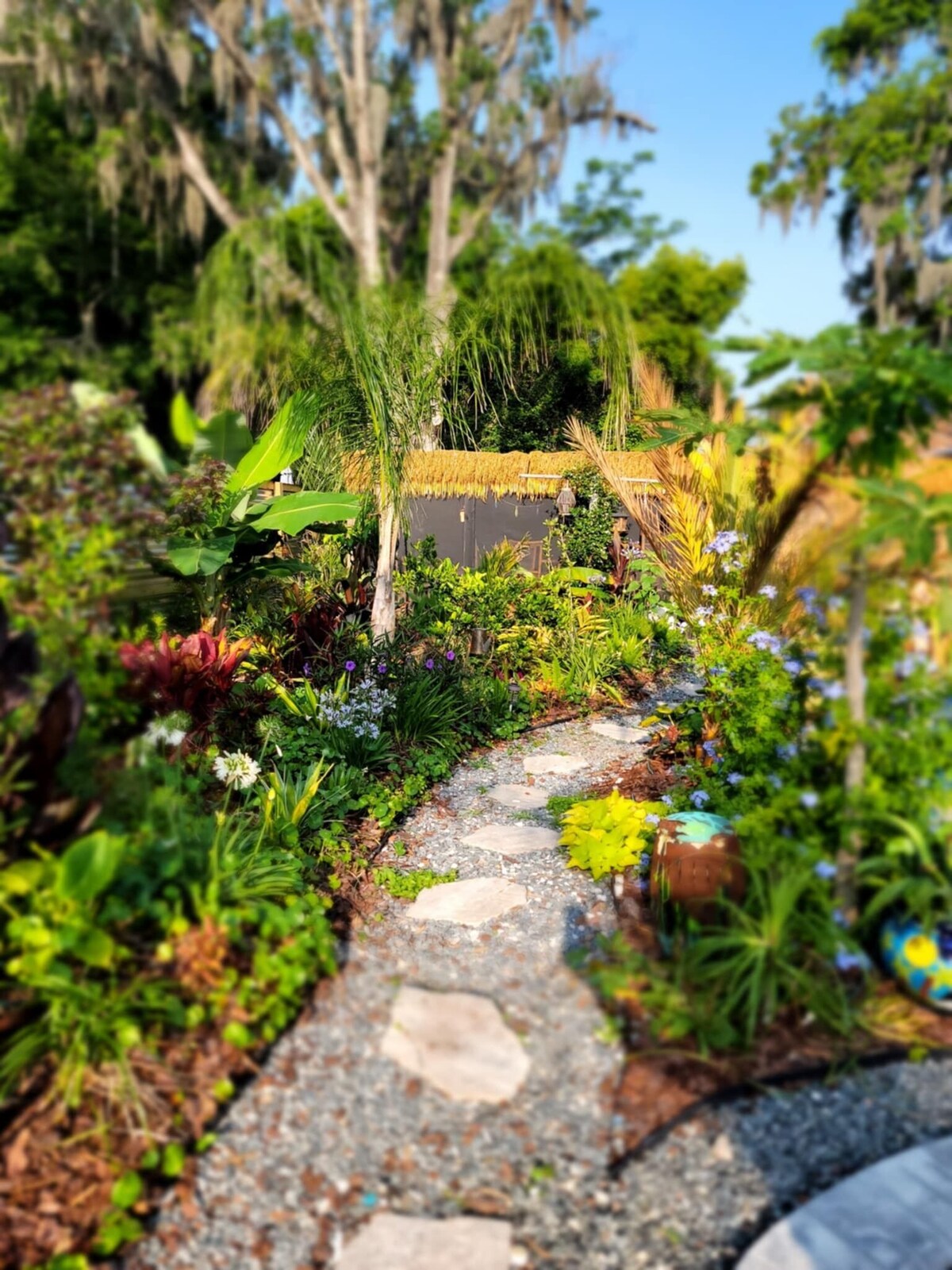 Photo 47 of Unique and tranquil pool home just steps from delightful downtown St. Augustine.