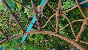 A hammock suspended from a wooden trellis structure with lush green foliage overhead.