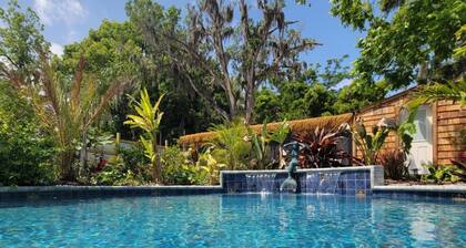 Unique and tranquil pool home just steps from delightful downtown St. Augustine.