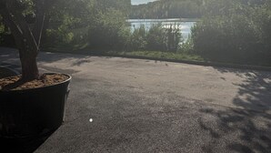 A parking area with a tree and a view of a lake.