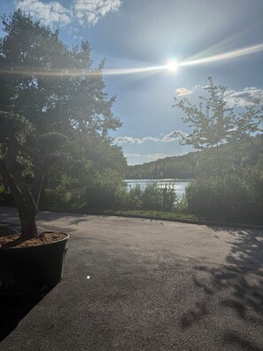 A parking area with a tree and a view of a lake.