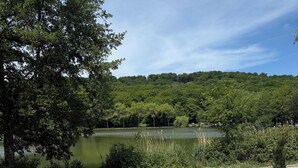 A paved area with a metal fence and a bench, surrounded by trees and a lake.
