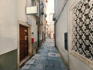 Un estrecho callejón con una puerta cerrada a la izquierda y un portón de hierro decorativo a la derecha.