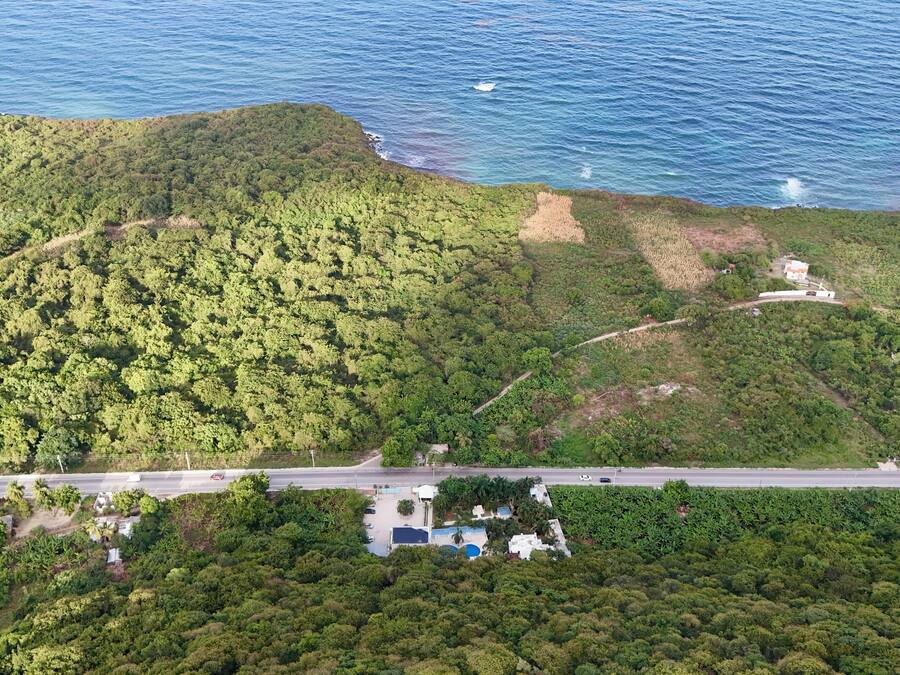 Vista aérea de una zona costera con abundante vegetación, una carretera y un pequeño edificio cerca de la orilla.