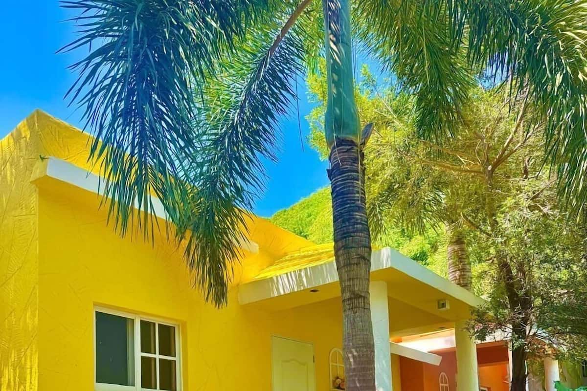 Down comforters, Select Comfort beds, individually decorated