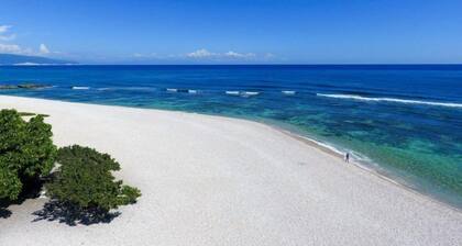 DAYMOND BLUE TROPICAL LODGE