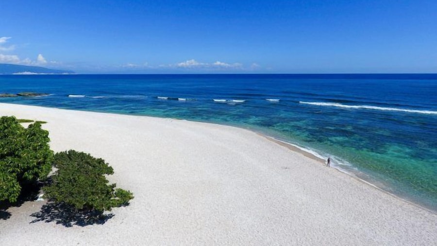 DAYMOND BLUE TROPICAL LODGE