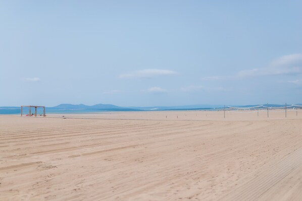 بالقرب من الشاطئ