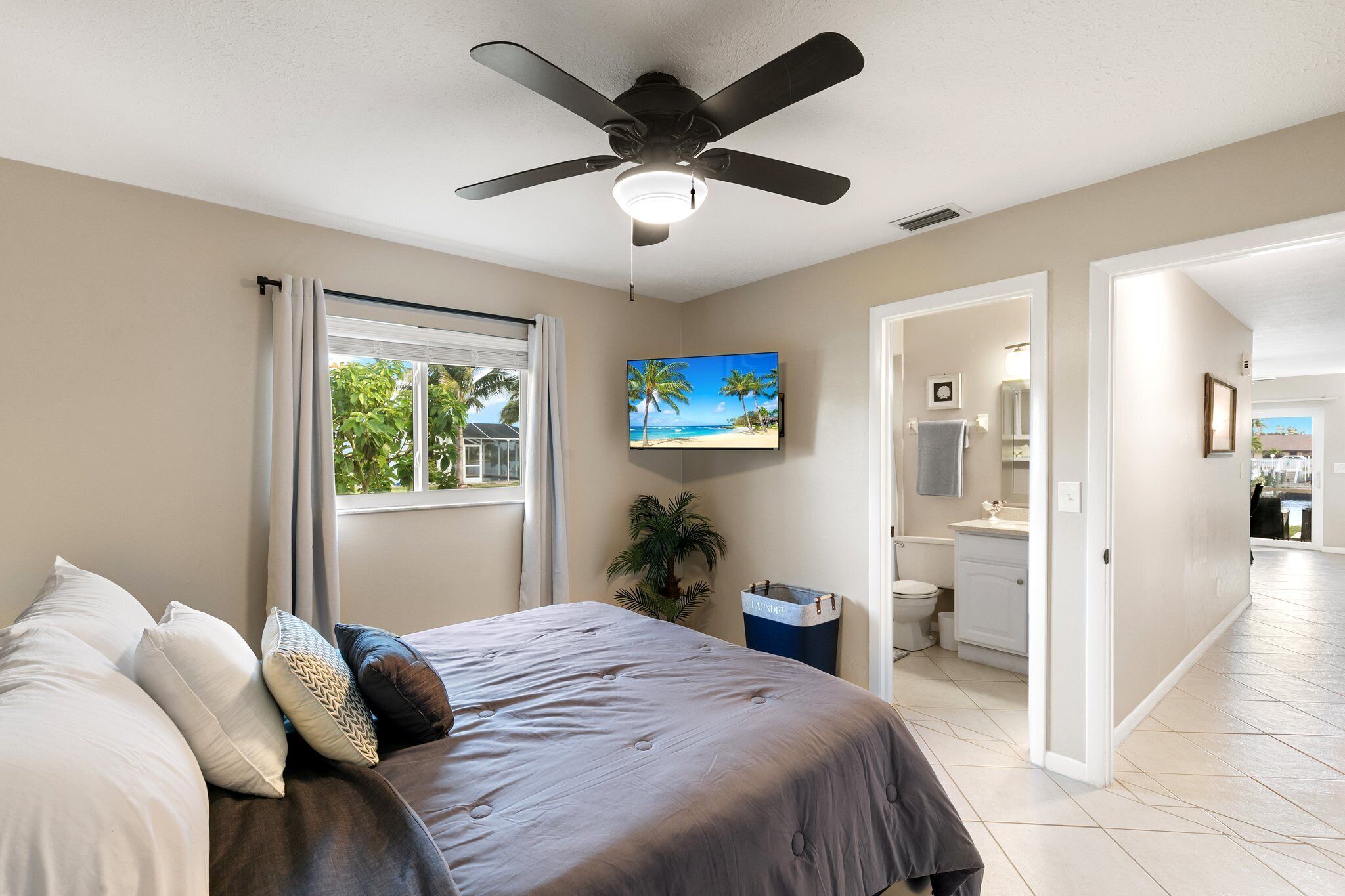 A bedroom with a bed, a ceiling fan, a TV, a window with curtains, a plant, and a trash bin.