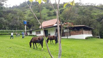 Áreas de la propiedad