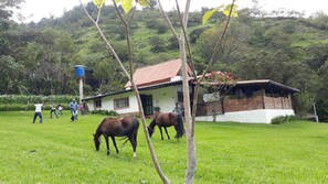 Overnattingsstedets uteområder