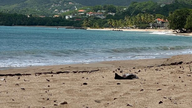 A beach with clear water, a sandy shore, and a backdrop of green hills with buildings.