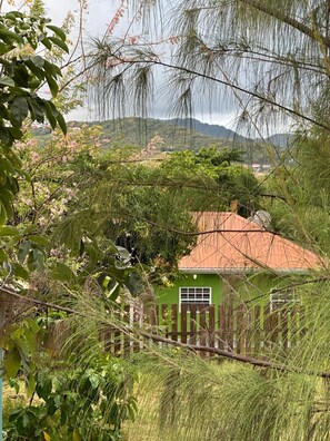 Área da propriedade