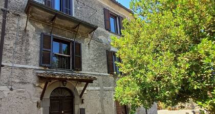 Bottino Palace - Vulsinia House