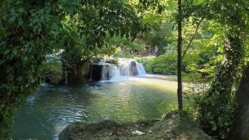 Un élément naturel composé d’eau, avec une petite cascade, entouré d’une végétation luxuriante et d’arbres.