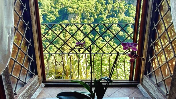 Un balcón con una planta en maceta, una mesa metálica y vistas a un paisaje boscoso.