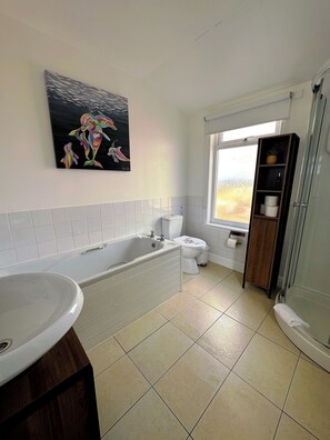 Shower, hair dryer, towels, soap