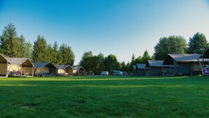A row of tents with a grassy field in the foreground and trees in the background. - Camping 2000 - Safaritent Medium (Osecná)