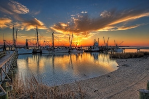 Marina