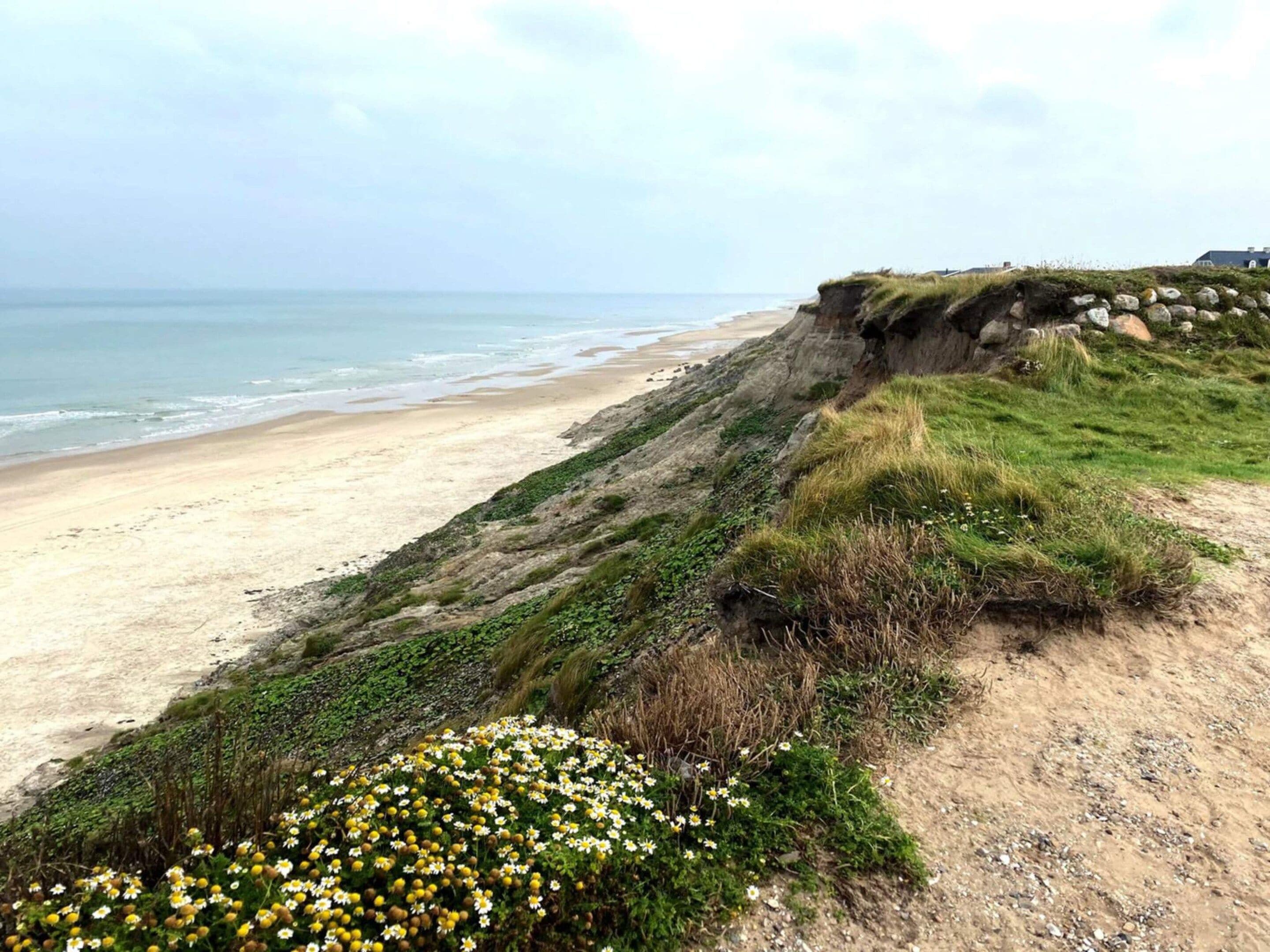 A coastal landscape with a sandy beach, grassy cliffs, and wildflowers.