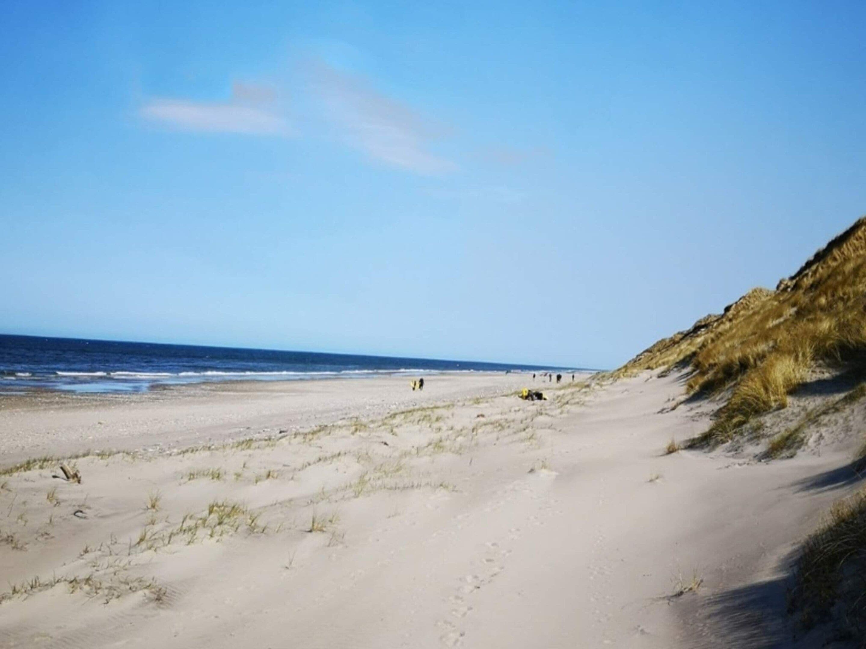 Une plage de sable fin, avec de douces dunes et un ciel dégagé.