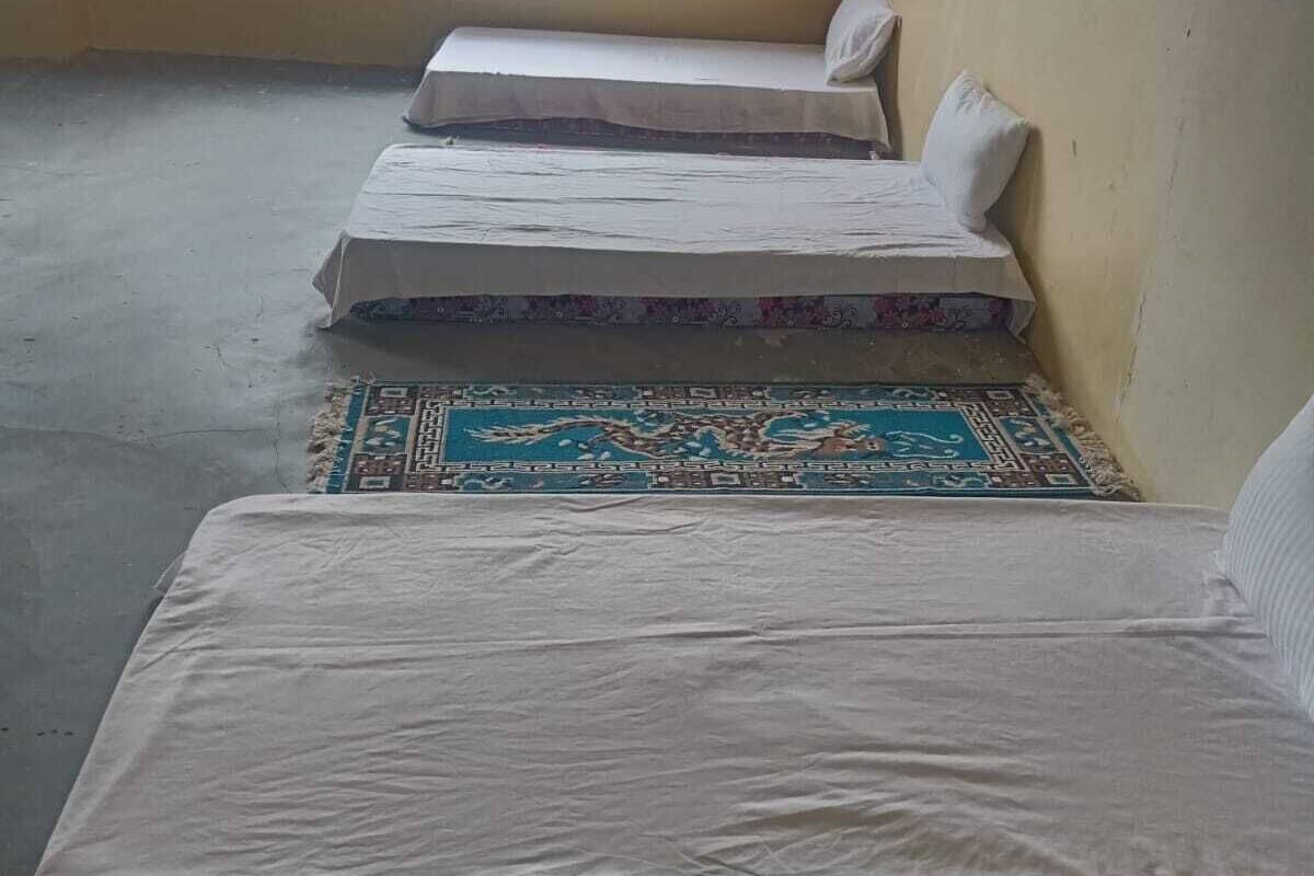 A room with three beds aligned against a wall, a window with a view of trees, and a patterned rug on the floor.